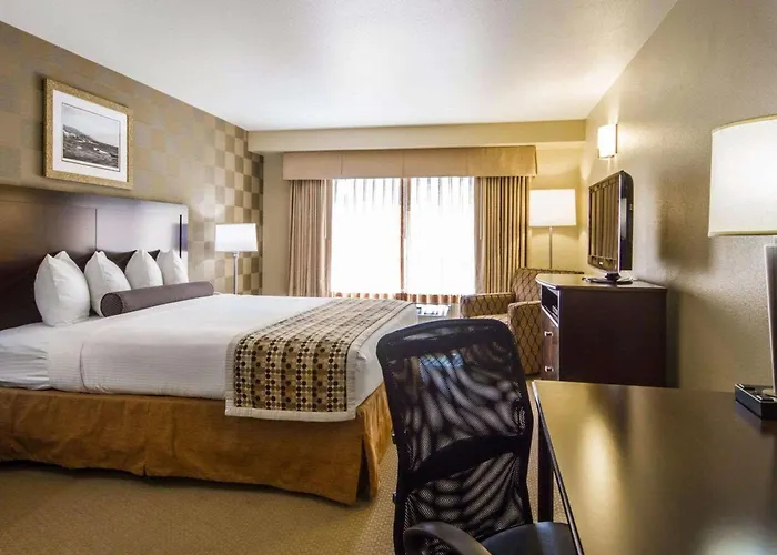 Hotel Med Park, Ascend Hotel Collection